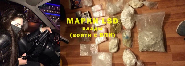 шишки Белоозёрский