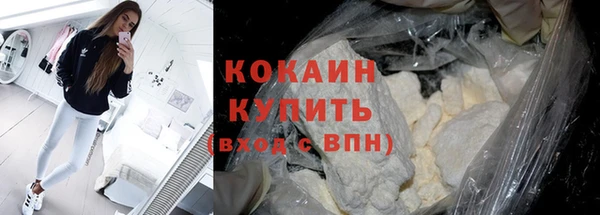 шишки Белоозёрский