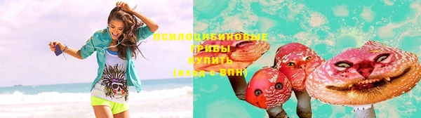 шишки Белоозёрский