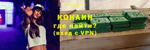 шишки Белоозёрский
