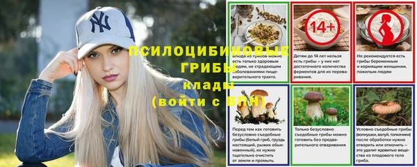 круглые Белокуриха