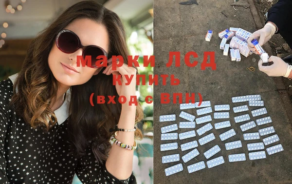 шишки Белоозёрский
