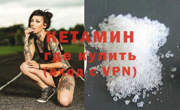 шишки Белоозёрский