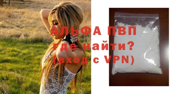 шишки Белоозёрский