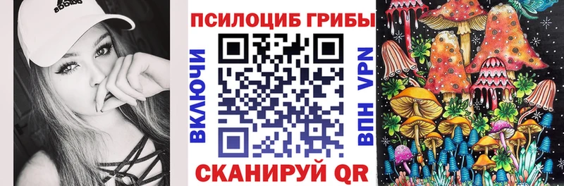 kraken как зайти  Вязники  Псилоцибиновые грибы мицелий  сколько стоит 